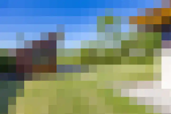 Sparrendreef 12 302 Oostrum thumbnail 40