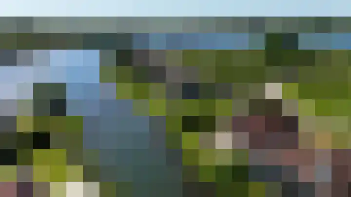Sparrendreef 12 302 Oostrum thumbnail 41
