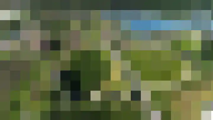 Sparrendreef 12 302 Oostrum thumbnail 47