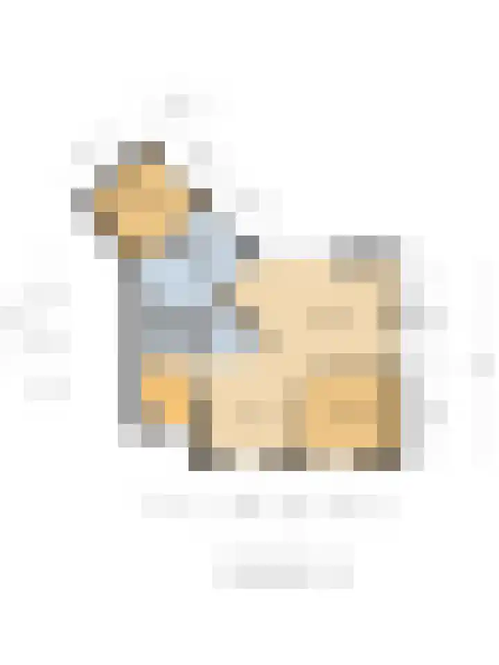 Sparrendreef 12 302 Oostrum thumbnail 48