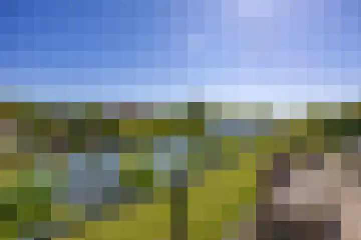Sparrendreef 12 302 Oostrum thumbnail 6
