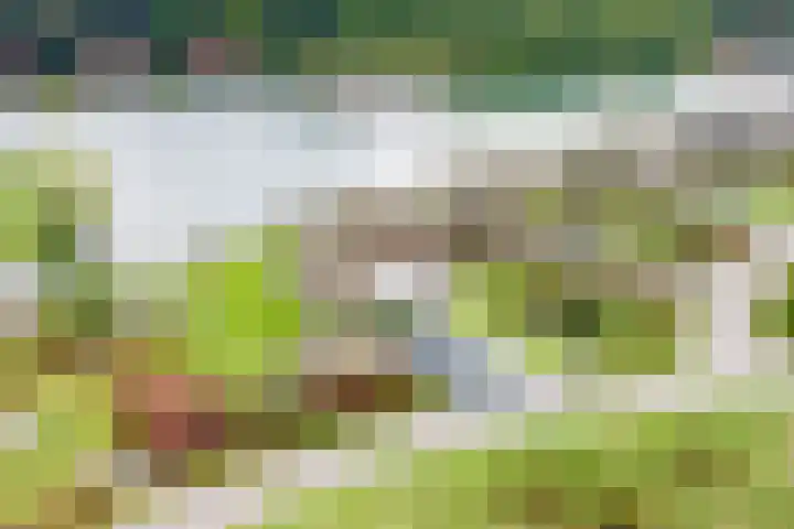 Sparrendreef 12 303 in Oostrum