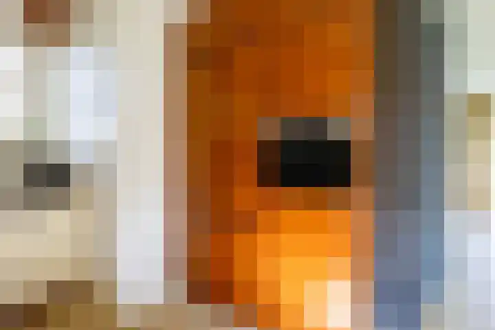 Sparrendreef 12 303 Oostrum thumbnail 11