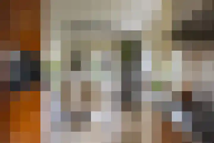 Sparrendreef 12 303 Oostrum thumbnail 13