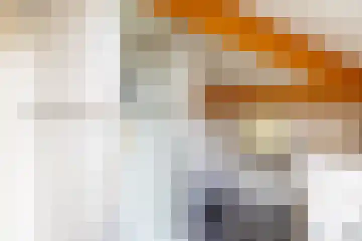 Sparrendreef 12 303 Oostrum thumbnail 22