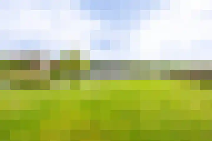 Sparrendreef 12 303 Oostrum thumbnail 25