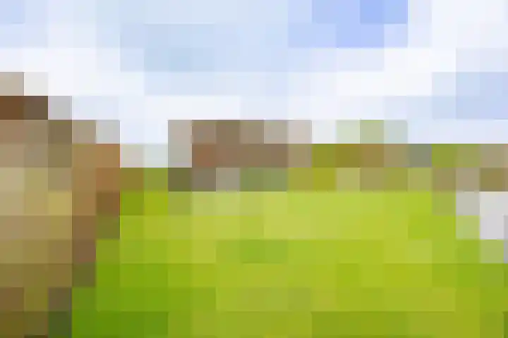 Sparrendreef 12 303 Oostrum thumbnail 26