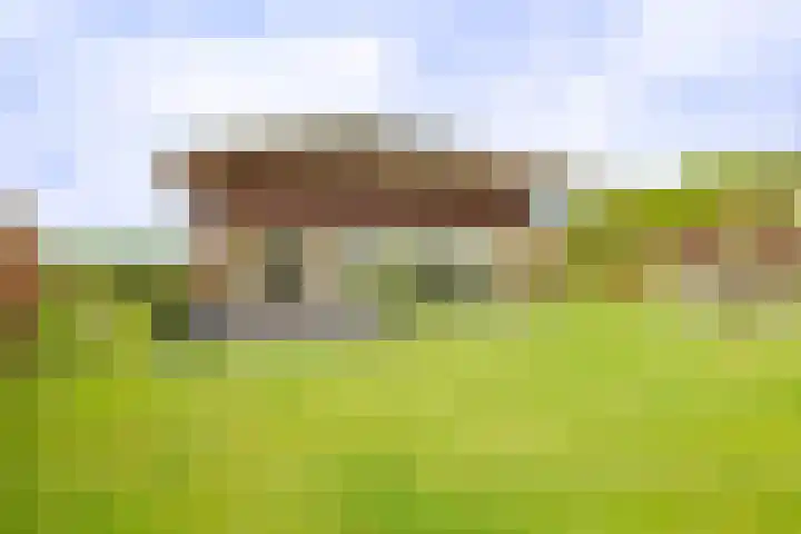Sparrendreef 12 303 Oostrum thumbnail 27