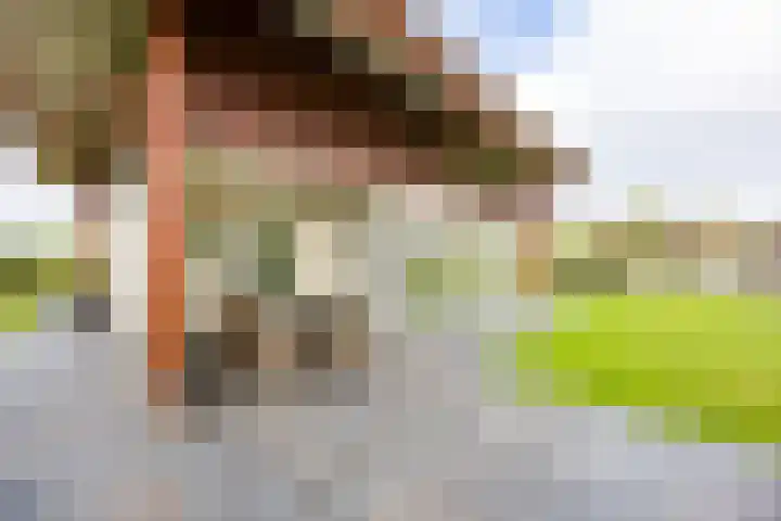 Sparrendreef 12 303 Oostrum thumbnail 30
