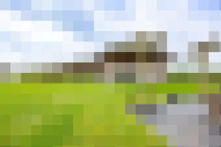Sparrendreef 12 303 Oostrum thumbnail 31