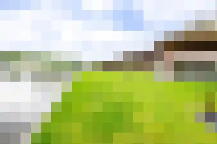 Sparrendreef 12 303 Oostrum thumbnail 32