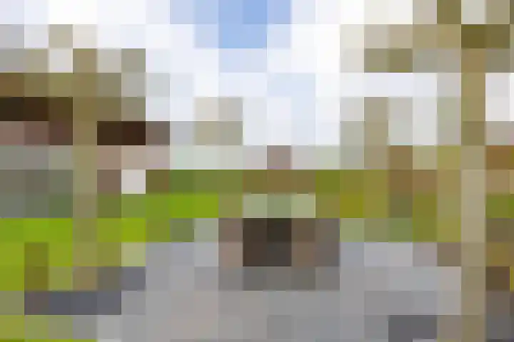 Sparrendreef 12 303 Oostrum thumbnail 33