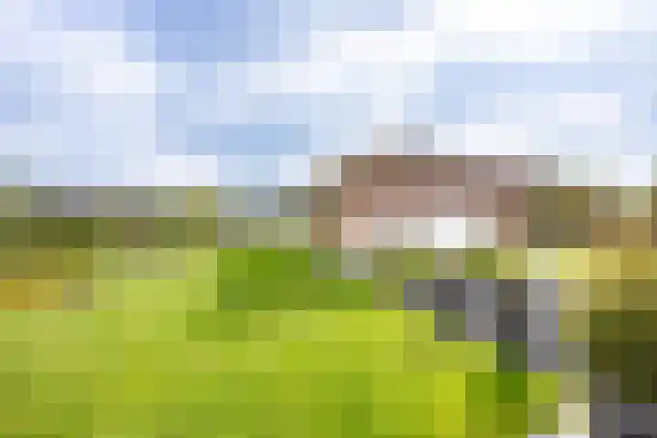 Sparrendreef 12 303 Oostrum thumbnail 34