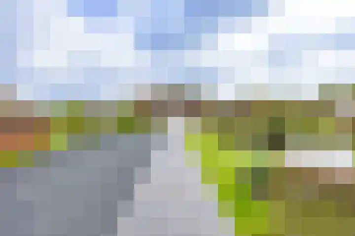 Sparrendreef 12 303 Oostrum thumbnail 35