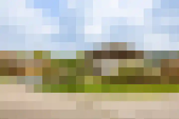 Sparrendreef 12 303 Oostrum thumbnail 37
