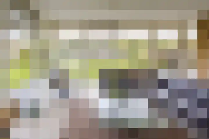 Sparrendreef 12 303 Oostrum thumbnail 6