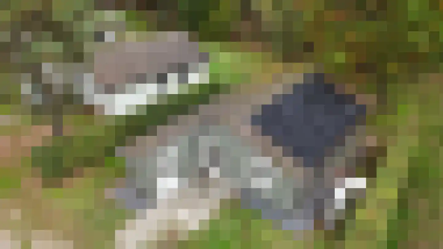 Sparrendreef 12 601 in Oostrum