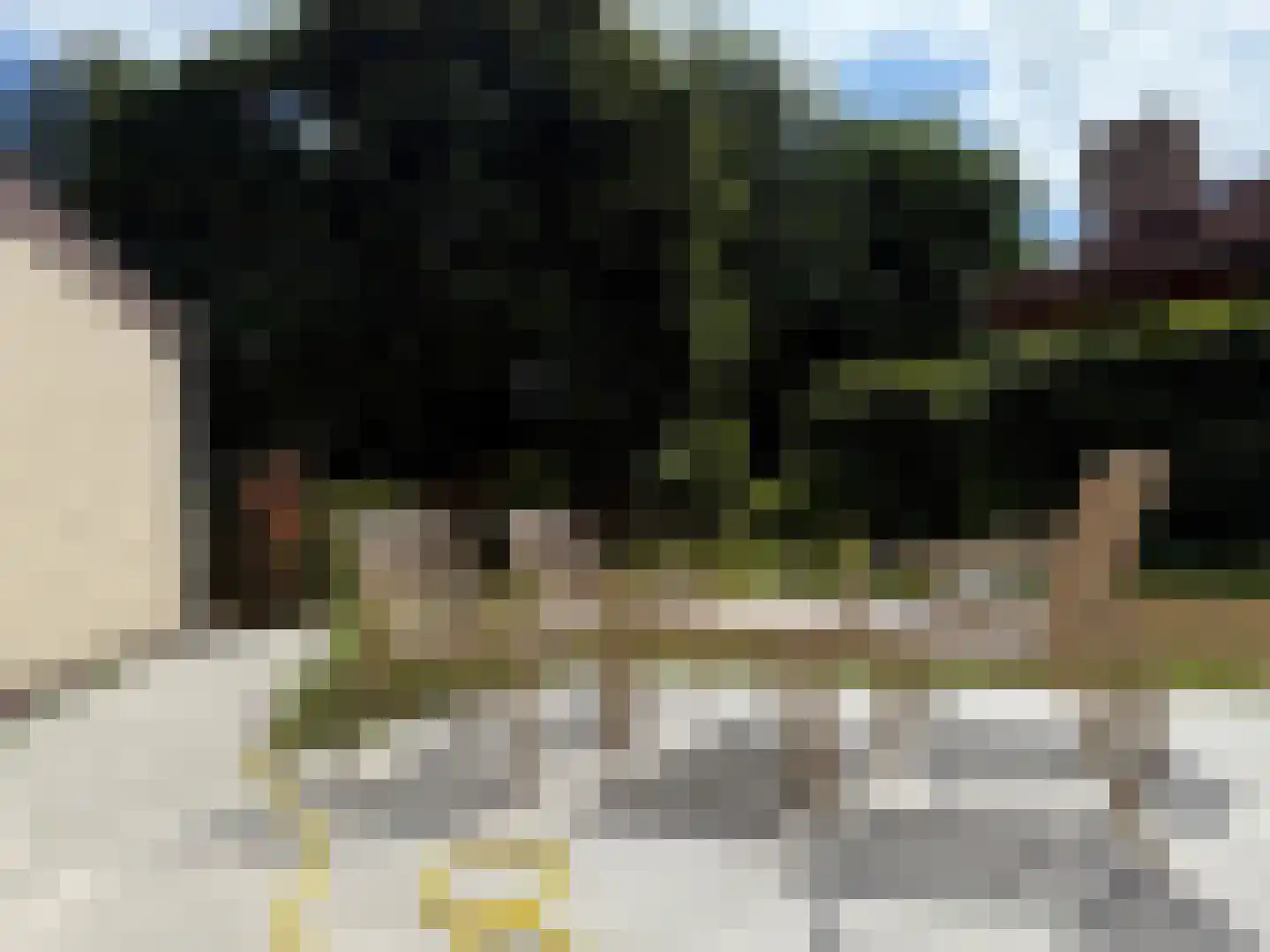 Sparrendreef 12 905 Oostrum thumbnail 19