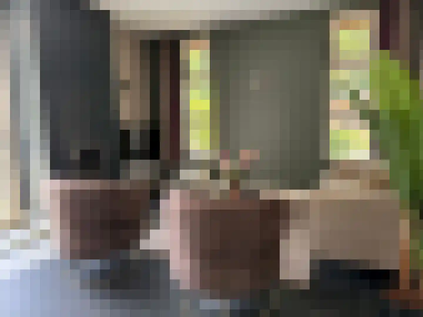 Sparrendreef 12 905 Oostrum thumbnail 9