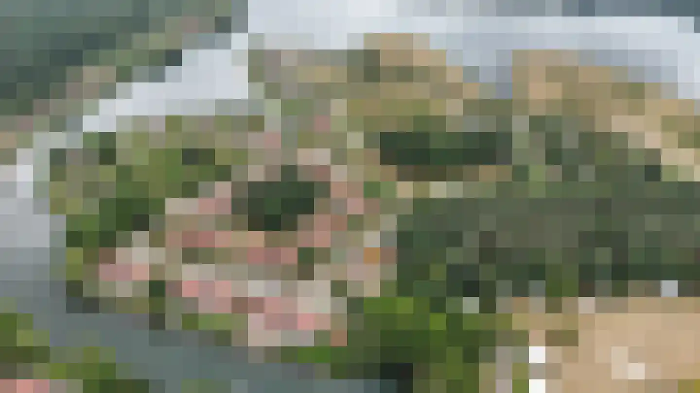 Sparrendreef 12 907 Oostrum