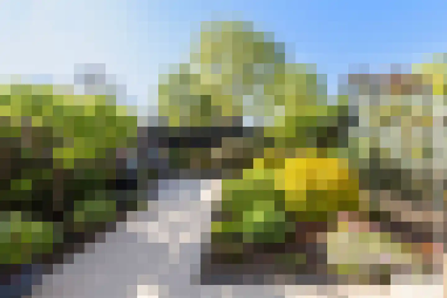 Sparrendreef 21 Vlaardingen thumbnail 20
