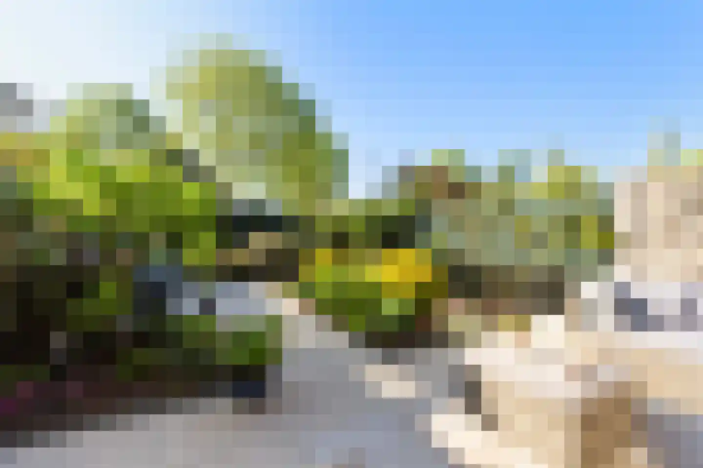 Sparrendreef 21 Vlaardingen thumbnail 21
