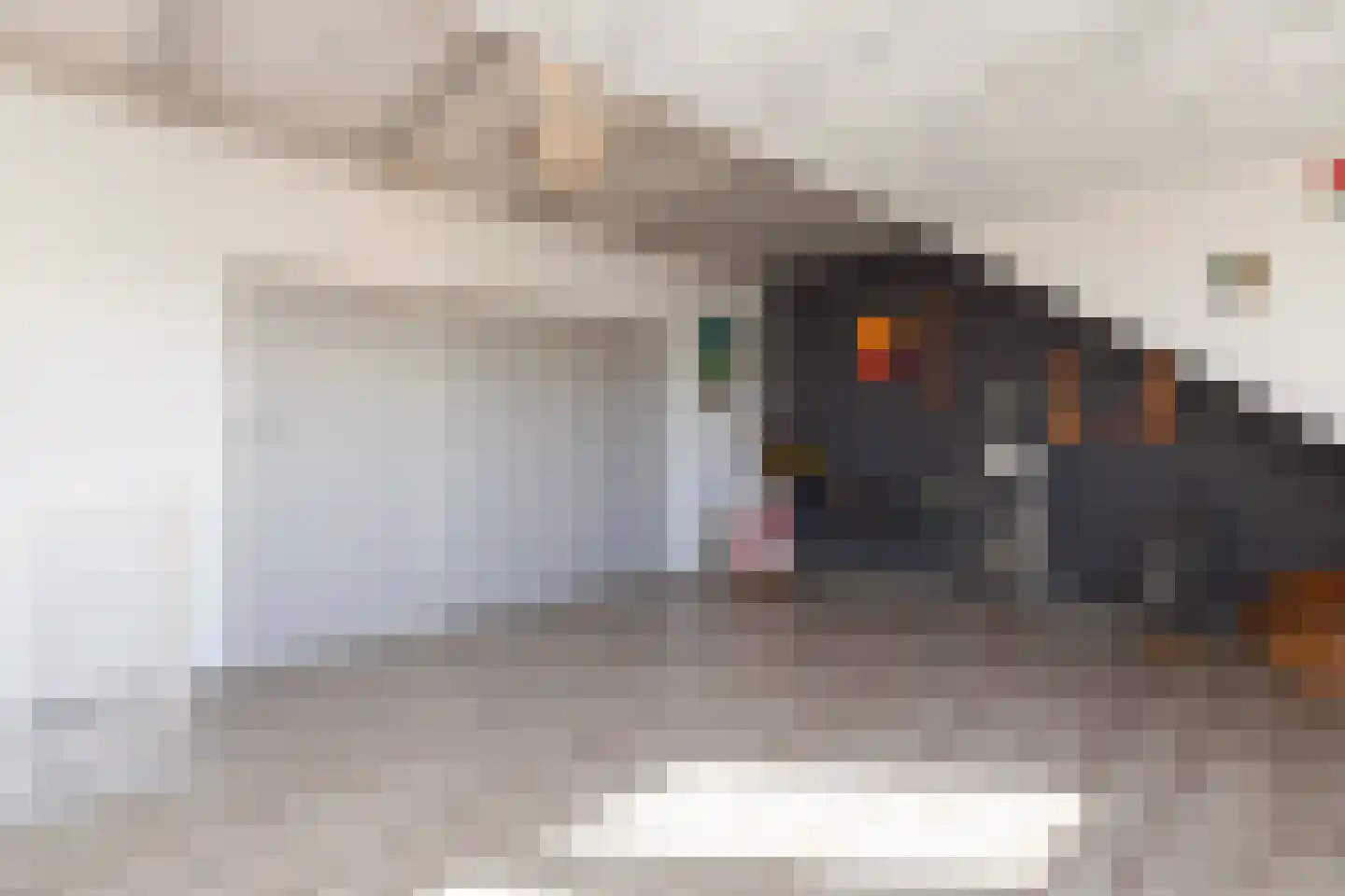 Sparrendreef 21 Vlaardingen thumbnail 34