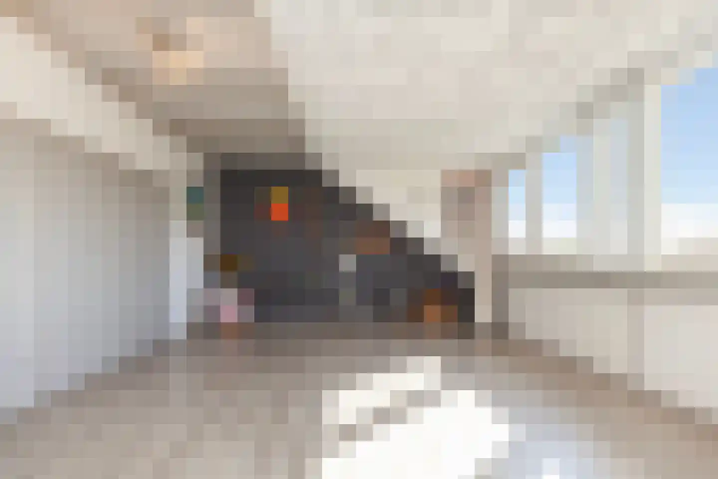 Sparrendreef 21 Vlaardingen thumbnail 35