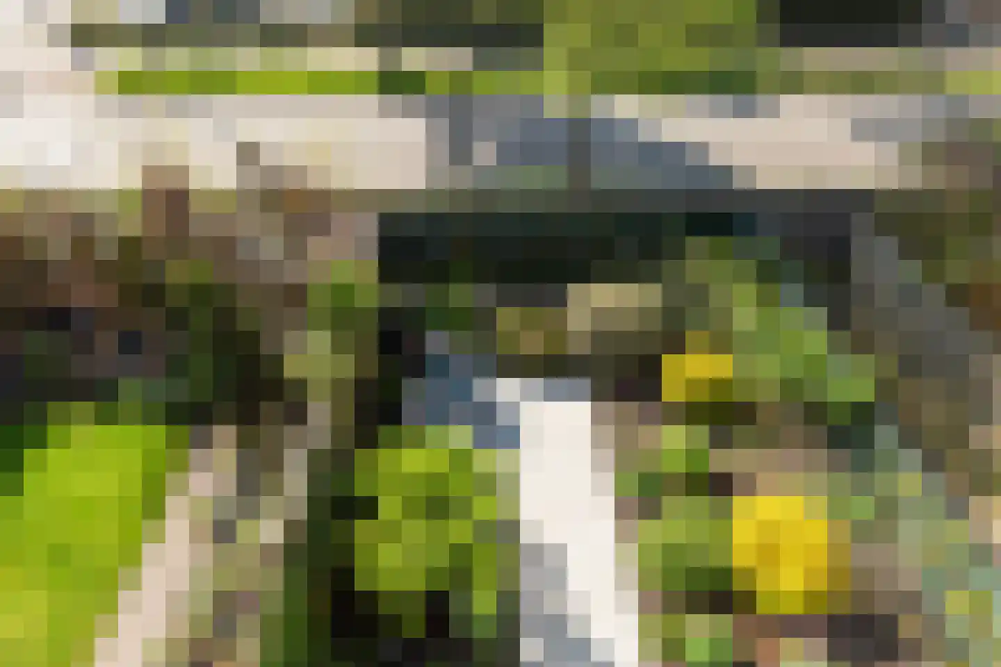 Sparrendreef 21 Vlaardingen thumbnail 36