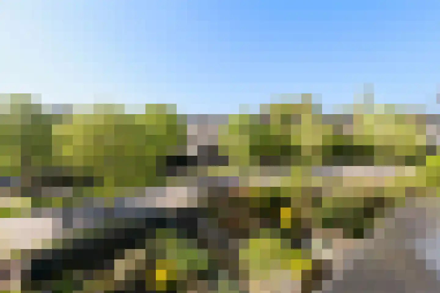 Sparrendreef 21 Vlaardingen thumbnail 37