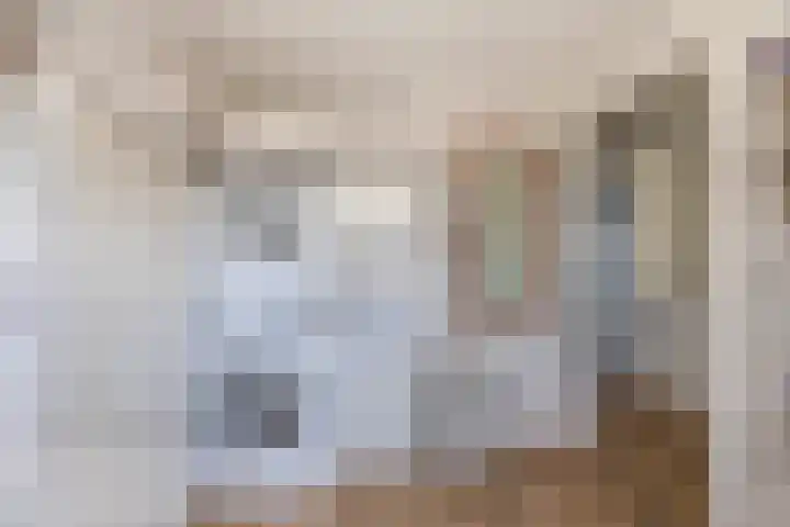 Sparrengaarde 20 Waddinxveen thumbnail 21
