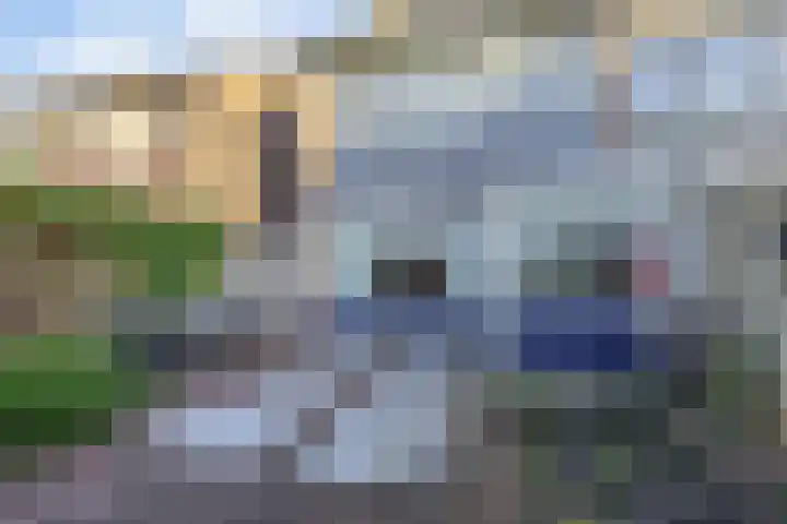 Sparrengaarde 20 Waddinxveen thumbnail 23