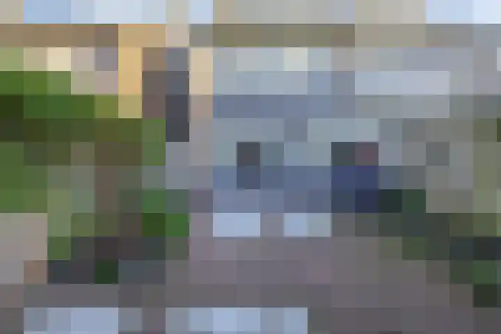Sparrengaarde 20 Waddinxveen thumbnail 24