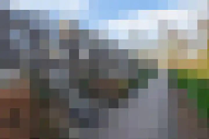 Sparrengaarde 20 Waddinxveen thumbnail 28