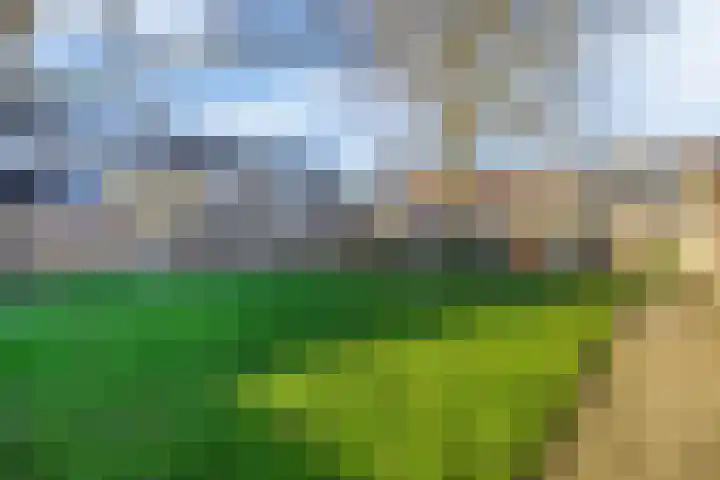 Sparrengaarde 20 Waddinxveen thumbnail 29