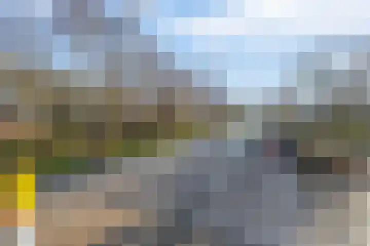 Sparrengaarde 20 Waddinxveen thumbnail 30
