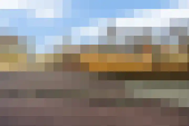 Sparrengaarde 20 Waddinxveen thumbnail 31