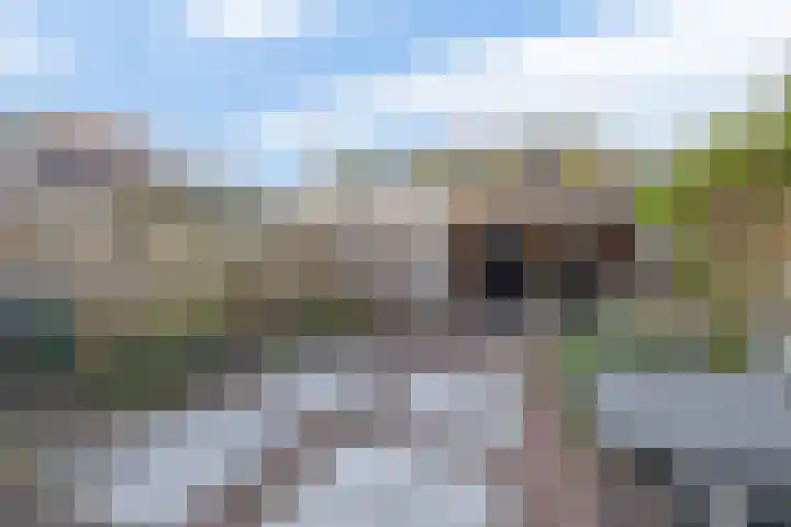 Sparrengaarde 20 Waddinxveen thumbnail 4