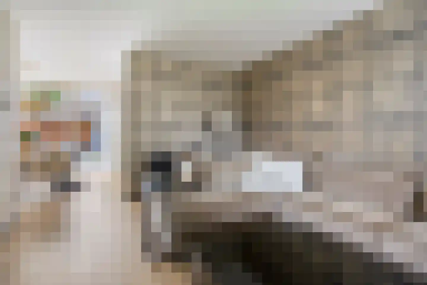 Sparrenhage 37 Stadskanaal thumbnail 16