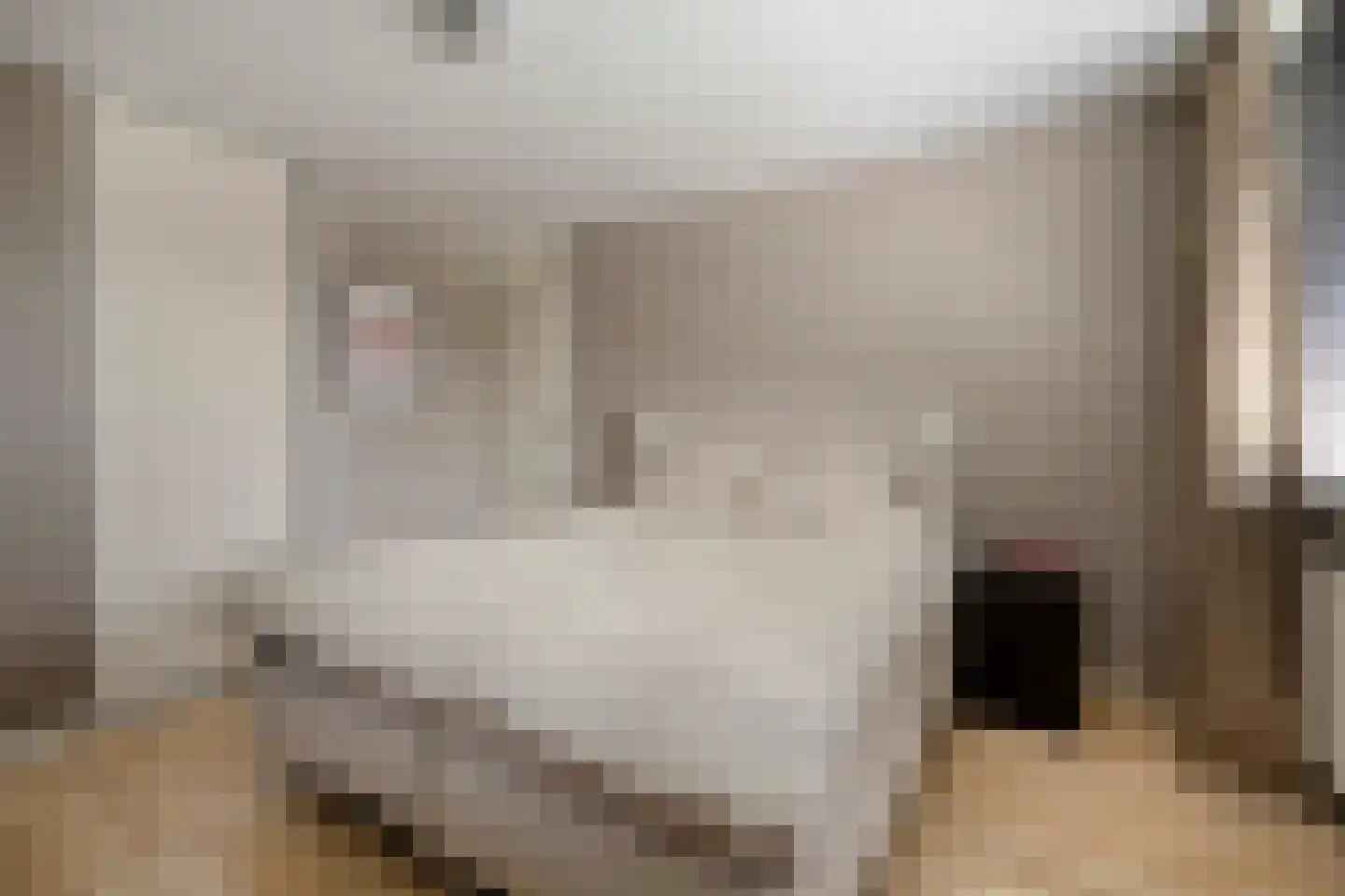 Sparrenhage 37 Stadskanaal thumbnail 25