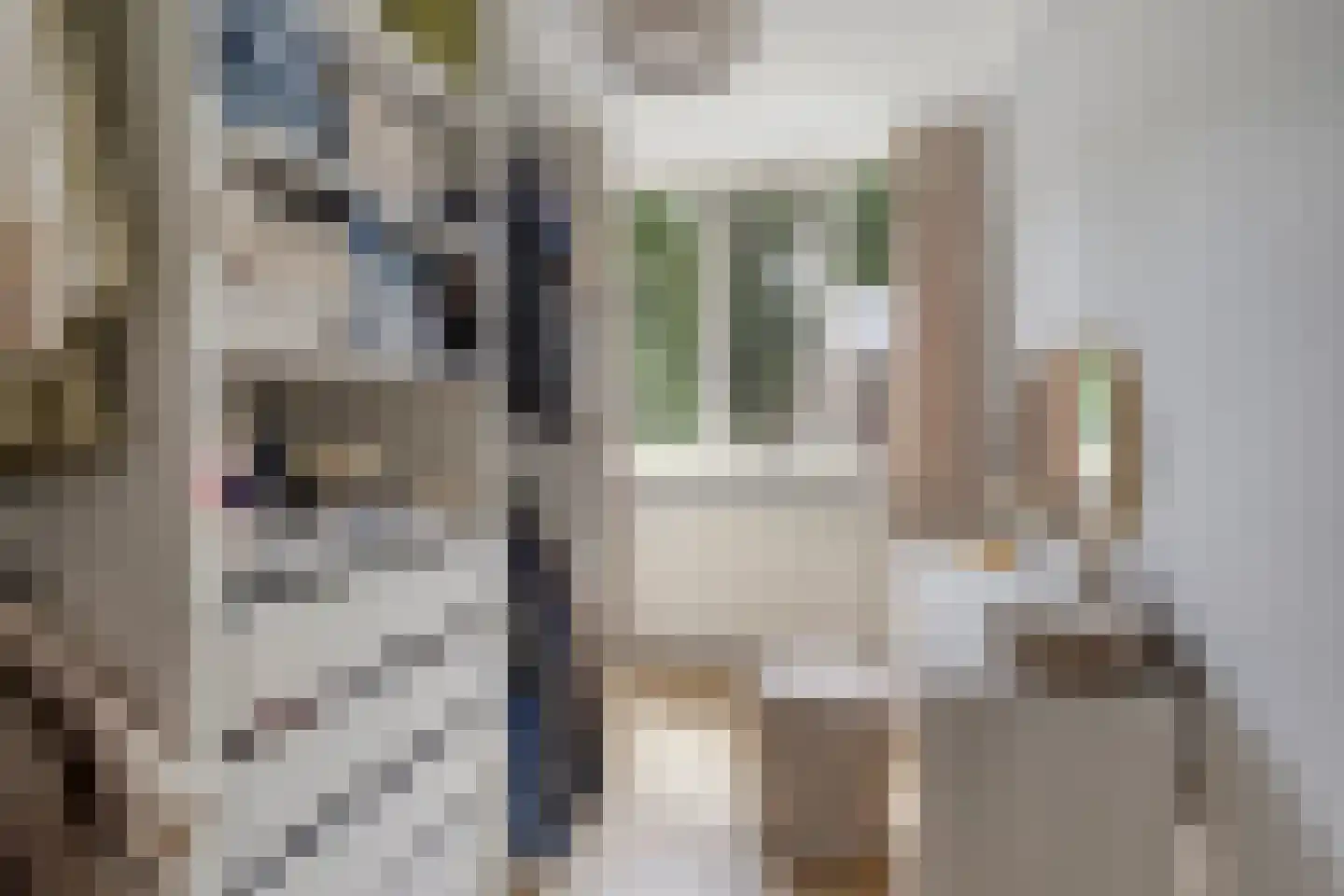 Sparrenhage 37 Stadskanaal thumbnail 31