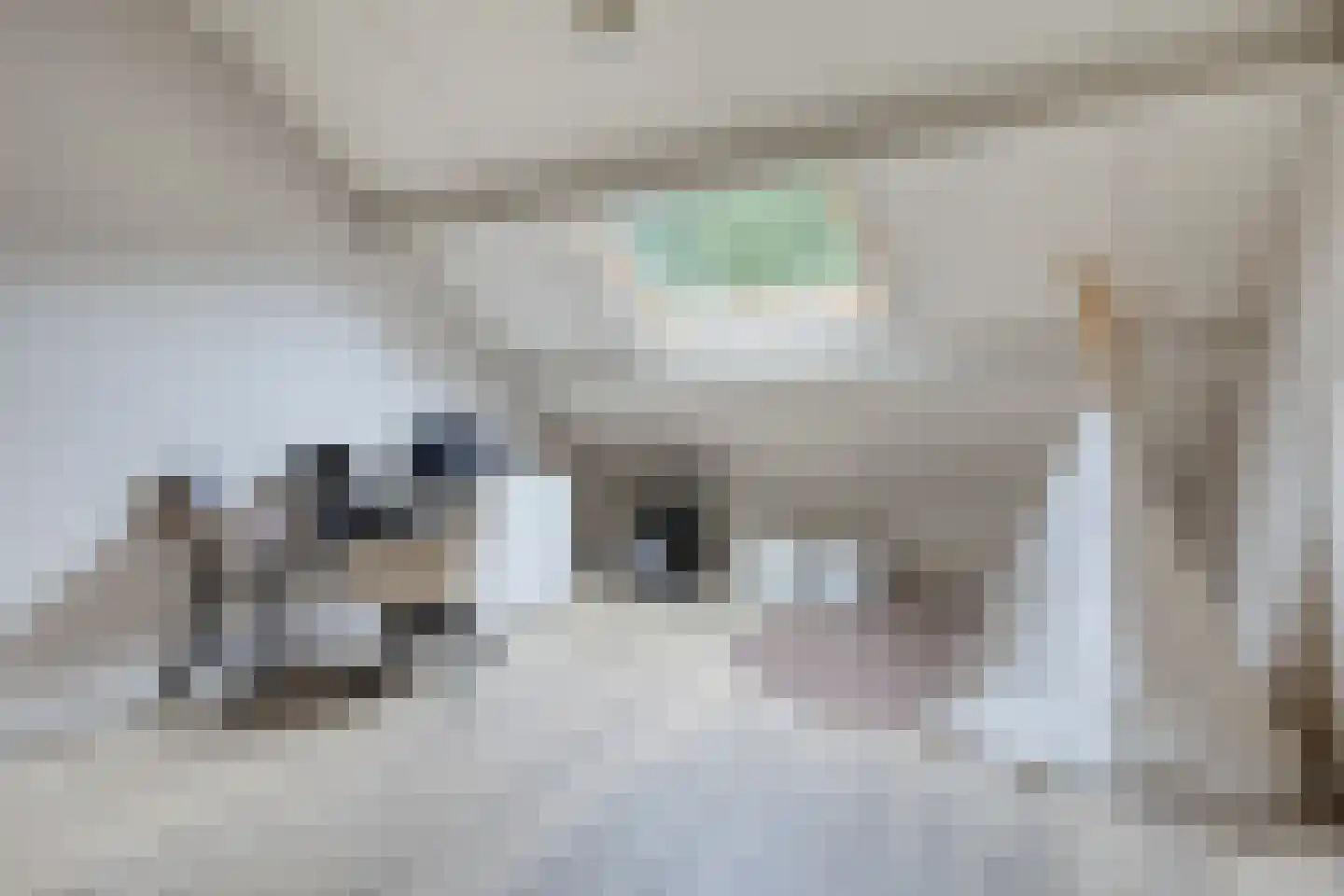 Sparrenhage 37 Stadskanaal thumbnail 33
