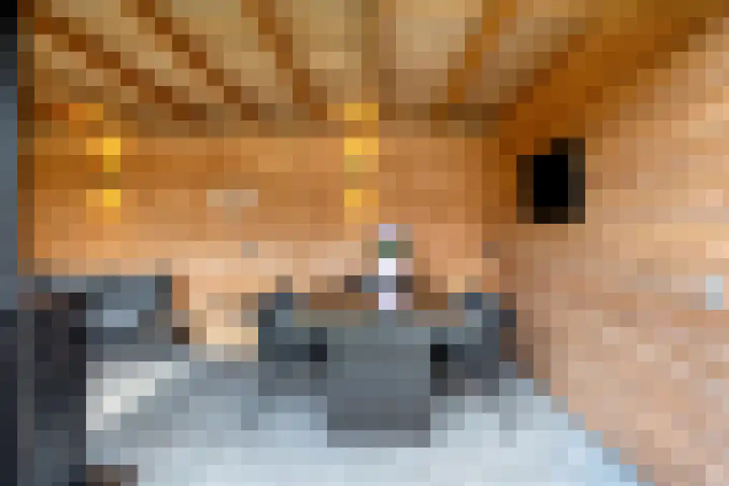 Sparrenhage 37 Stadskanaal thumbnail 37