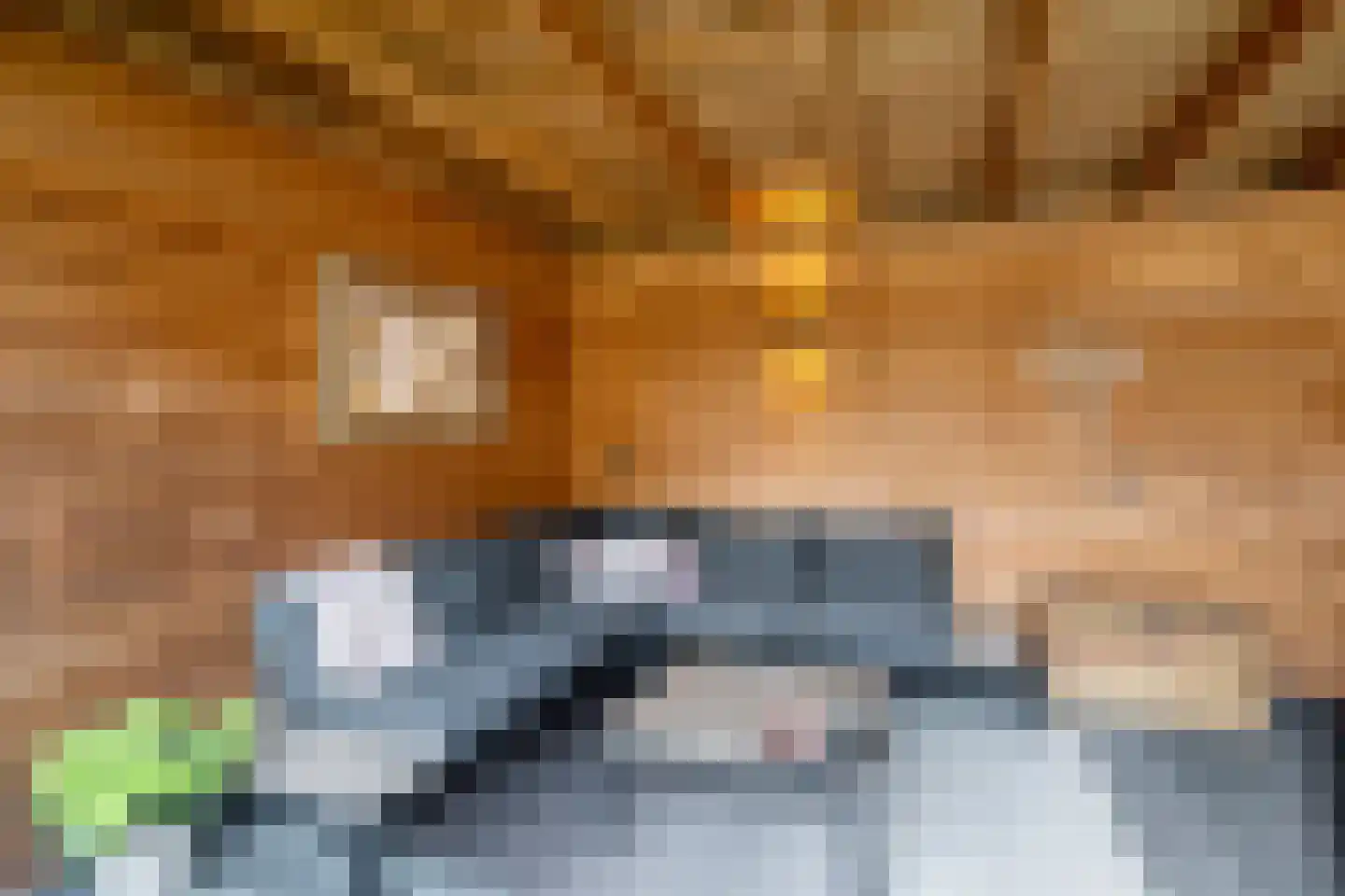 Sparrenhage 37 Stadskanaal thumbnail 38