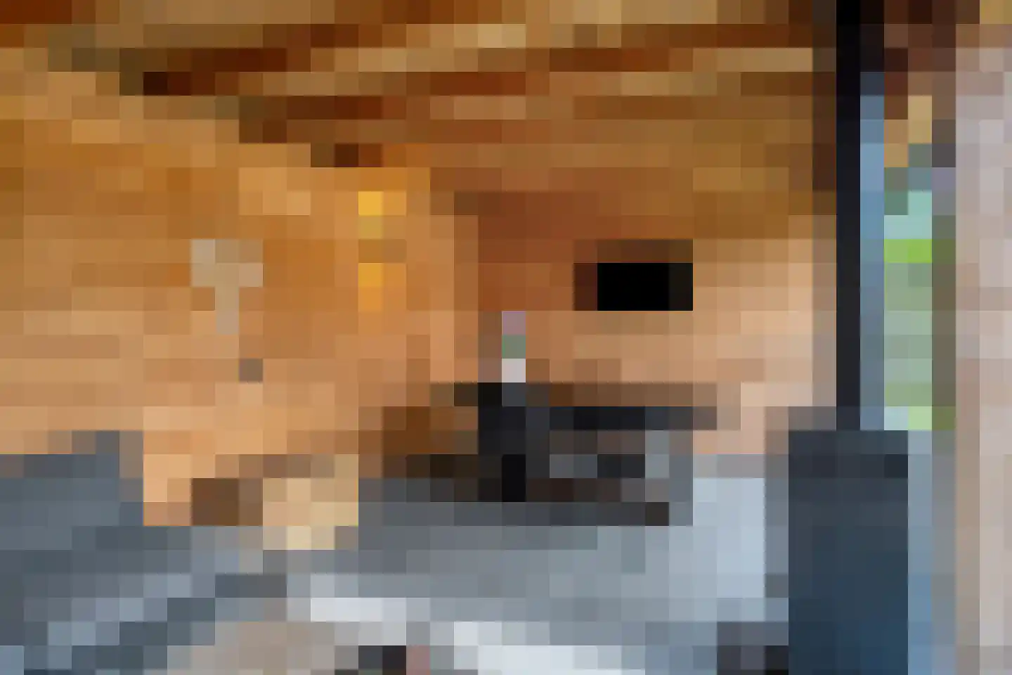 Sparrenhage 37 Stadskanaal thumbnail 39