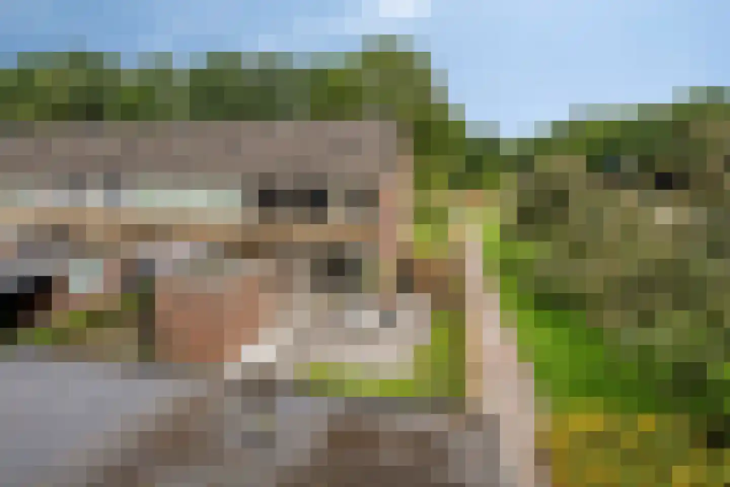 Sparrenhage 37 Stadskanaal thumbnail 6