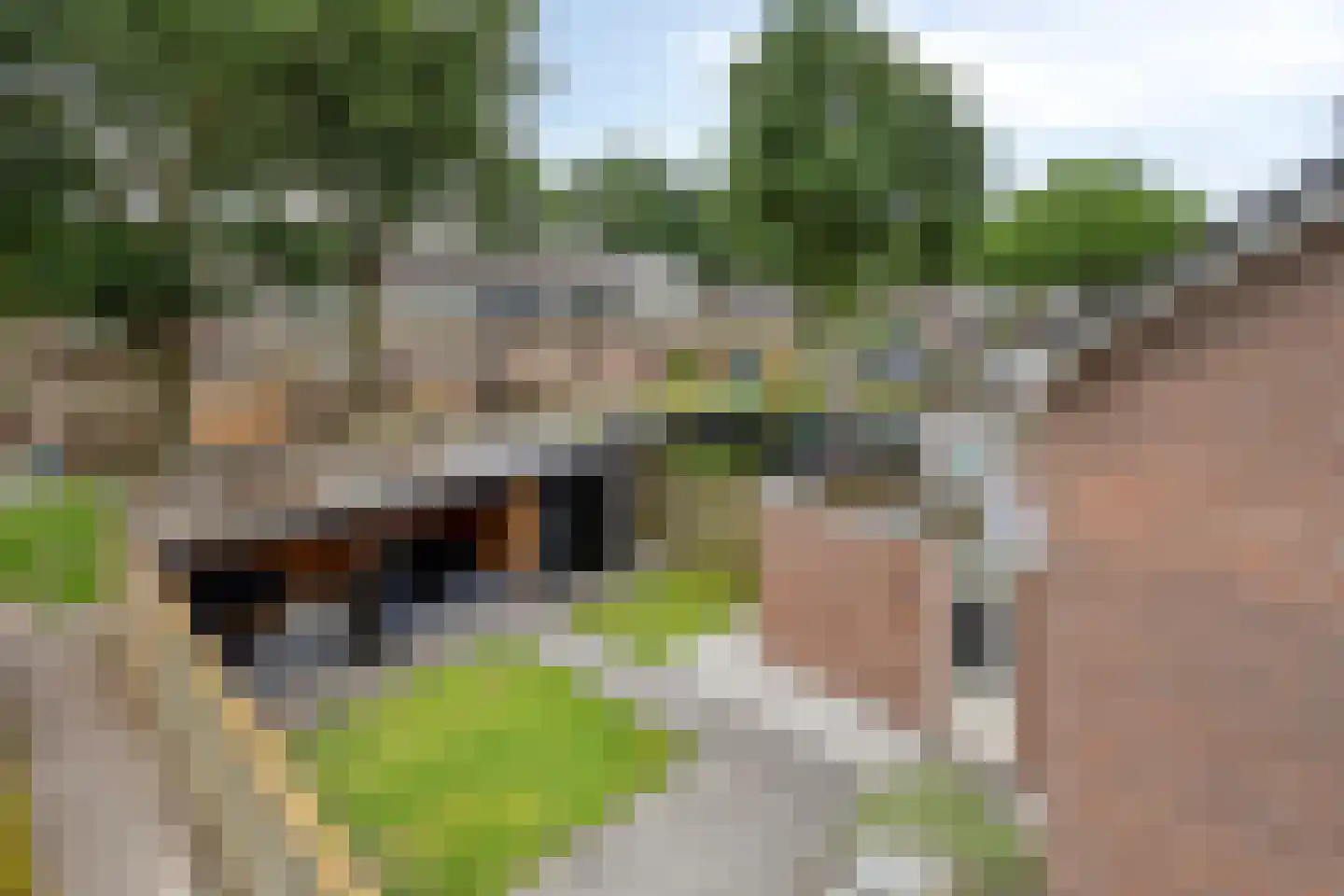 Sparrenhage 37 Stadskanaal thumbnail 7