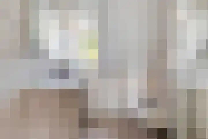 Sparrenhof 10 Made thumbnail 18