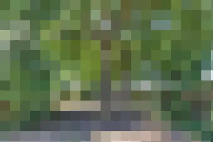 Sparrenhof 10 Made thumbnail 27