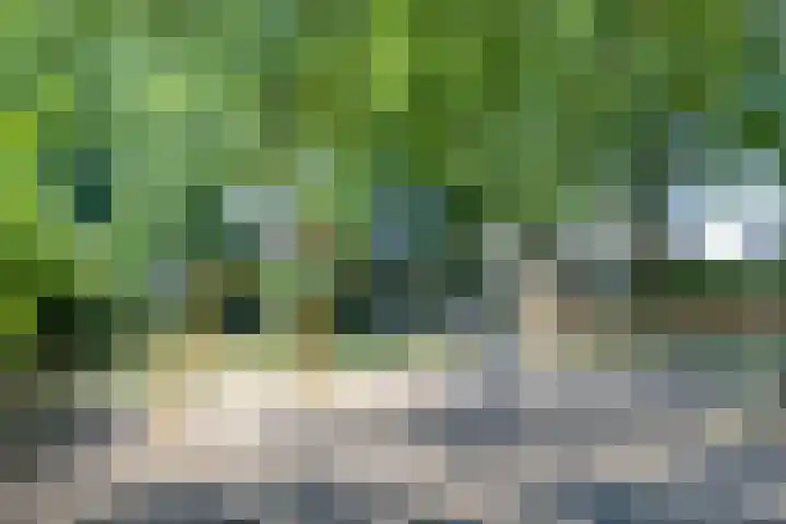 Sparrenhof 10 Made thumbnail 28